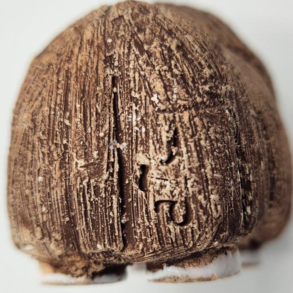 Vintage Artesania Rinconada Handmade Ceramic Musk Ox Retired Collectible Figure - Picture 7 of 7